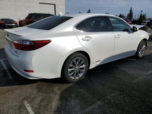 2014 Lexus ES 300H