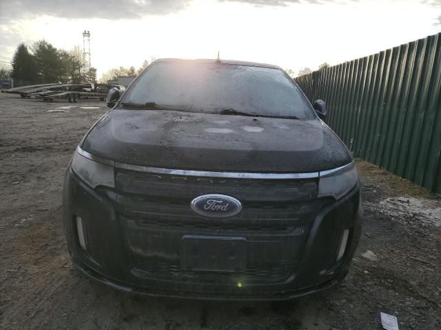 2014 Ford Edge Sport