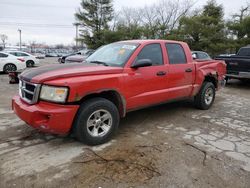 Dodge salvage cars for sale: 2008 Dodge Dakota SXT