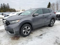 2020 Honda CR-V LX for sale in Bowmanville, ON