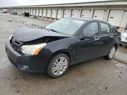 Ford Focus sel salvage cars for sale: 2011 Ford Focus SEL