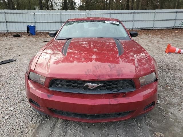 2010 Ford Mustang