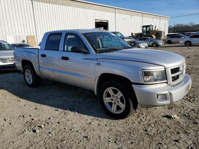 2011 Dodge Dakota SLT