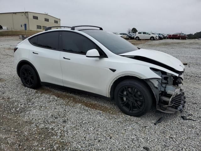 2020 Tesla Model Y