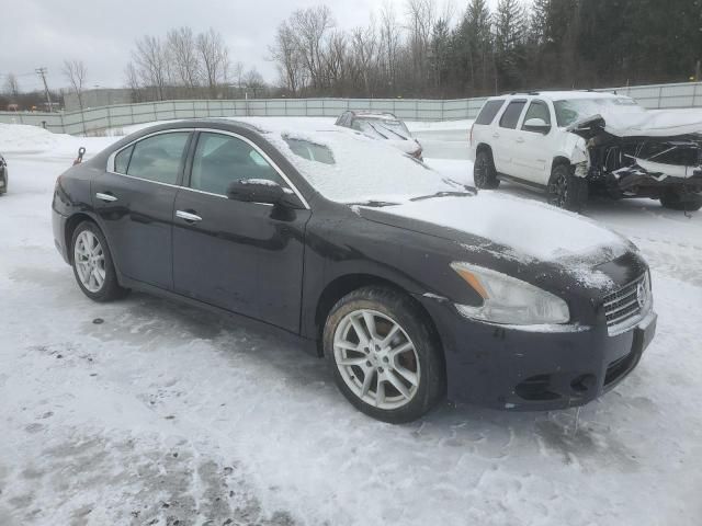 2010 Nissan Maxima S