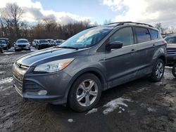 Ford Escape salvage cars for sale: 2014 Ford Escape SE