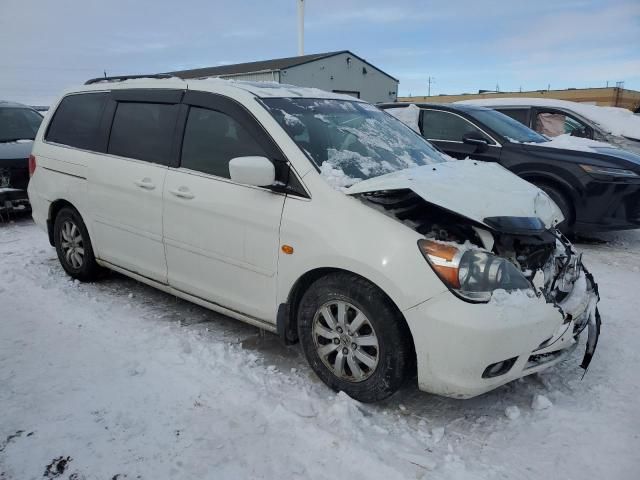 2008 Honda Odyssey EXL