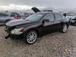 Nissan Maxima salvage cars for sale: 2014 Nissan Maxima S