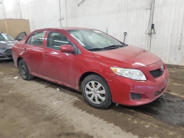 2010 Toyota Corolla Base