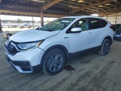 Salvage cars for sale from Copart American Canyon, CA: 2022 Honda CR-V EXL