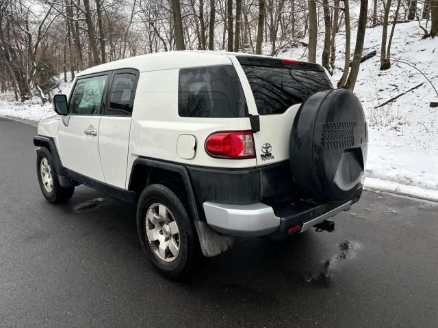 2010 Toyota FJ Cruiser