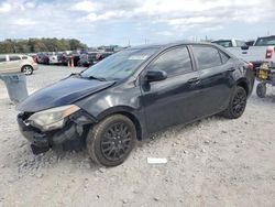 Toyota Corolla salvage cars for sale: 2014 Toyota Corolla L