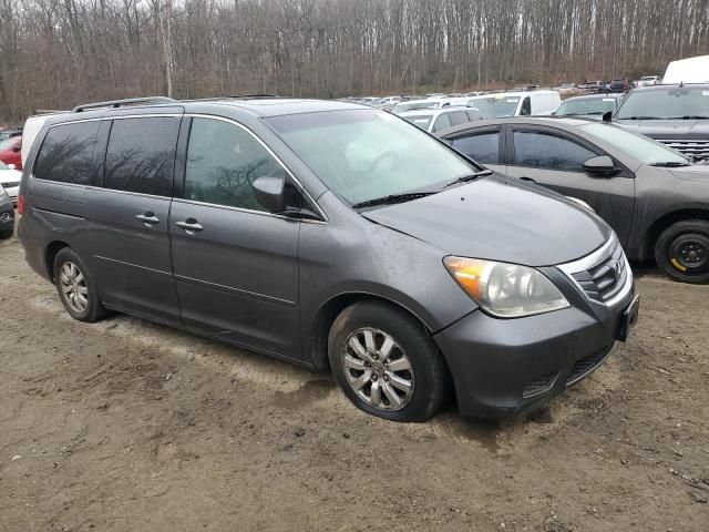 2010 Honda Odyssey EXL