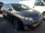 2009 Toyota Venza