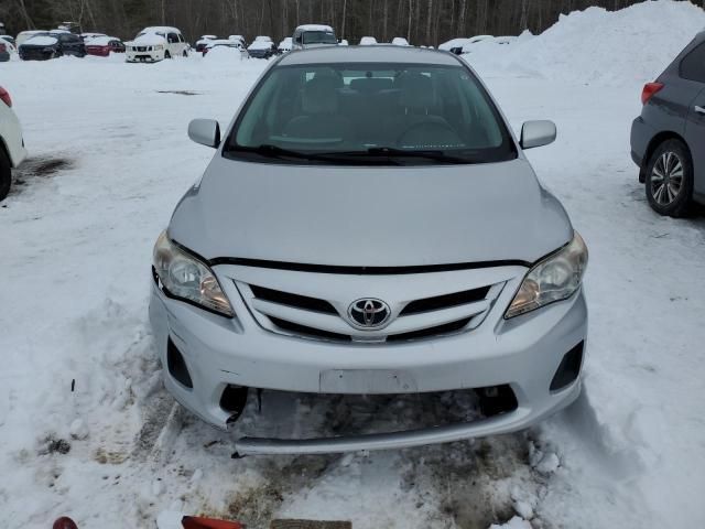 2011 Toyota Corolla Base