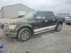 Salvage trucks for sale at Lawrenceburg, KY auction: 2013 Ford F150 Supercrew