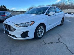 Ford Fusion salvage cars for sale: 2019 Ford Fusion SE