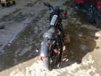 2020 Harley-Davidson XL883 N
