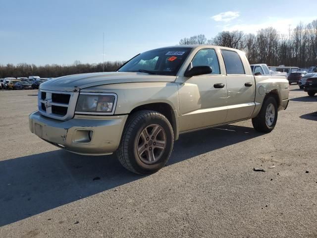 2011 Dodge Dakota SLT