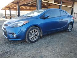 KIA Forte salvage cars for sale: 2014 KIA Forte EX