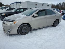 Toyota Camry salvage cars for sale: 2013 Toyota Camry L