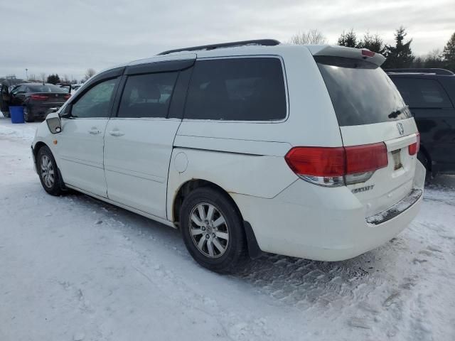 2008 Honda Odyssey EXL