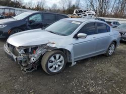 Honda salvage cars for sale: 2008 Honda Accord EX