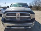 2009 Dodge RAM 1500