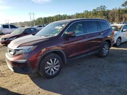 Honda salvage cars for sale: 2020 Honda Pilot EXL