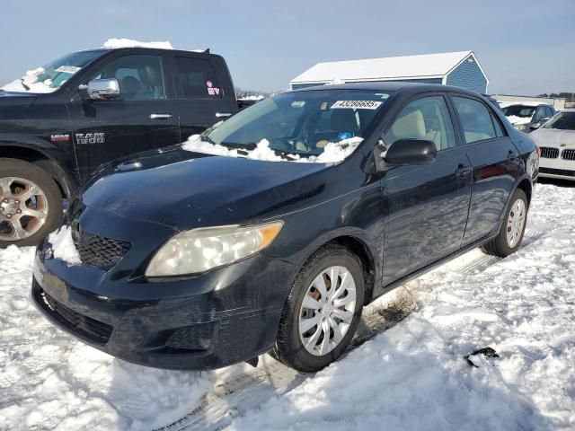 2010 Toyota Corolla Base