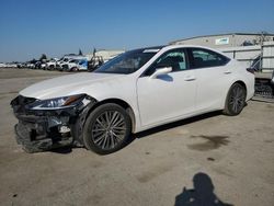 Salvage cars for sale from Copart Bakersfield, CA: 2023 Lexus ES 350 Base