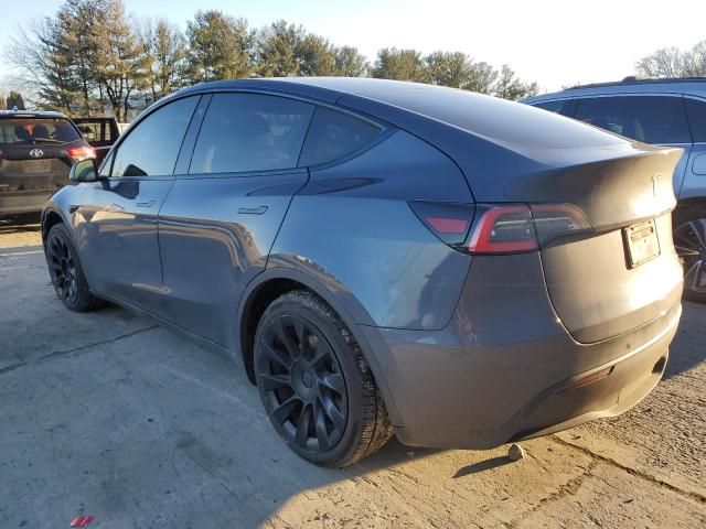 2020 Tesla Model Y