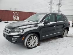 Volkswagen Tiguan salvage cars for sale: 2013 Volkswagen Tiguan S