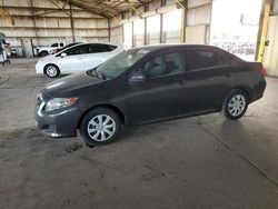 Toyota Corolla salvage cars for sale: 2010 Toyota Corolla Base