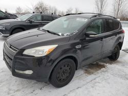 Salvage cars for sale from Copart London, ON: 2013 Ford Escape SEL