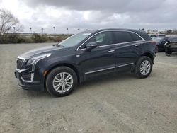 Cadillac xt5 Vehiculos salvage en venta: 2021 Cadillac XT5 Luxury