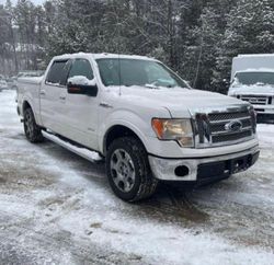 Ford f-150 salvage cars for sale: 2011 Ford F150 Supercrew