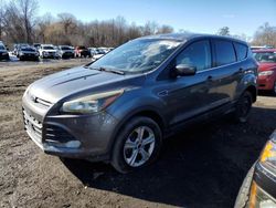 Ford Escape salvage cars for sale: 2014 Ford Escape SE