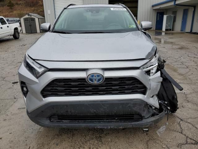 2022 Toyota Rav4 XLE Premium