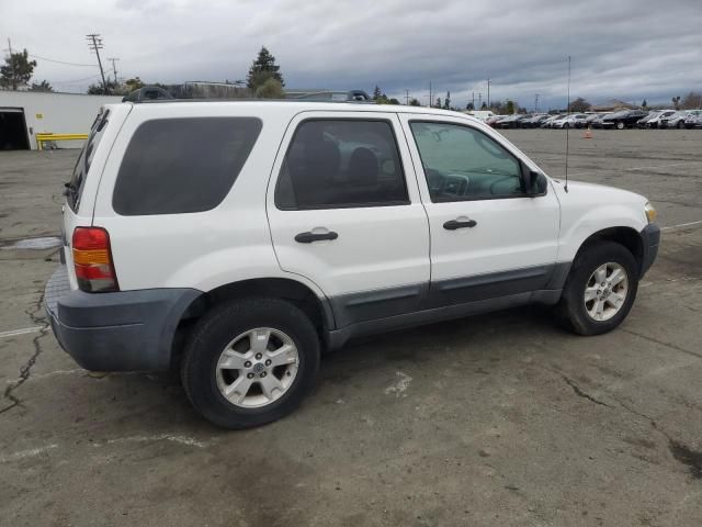 2006 Ford Escape XLT