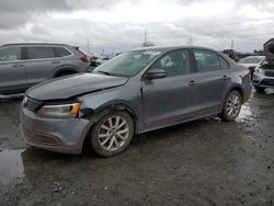 Volkswagen Jetta salvage cars for sale: 2011 Volkswagen Jetta SE