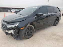 Honda Odyssey sp salvage cars for sale: 2024 Honda Odyssey Sport