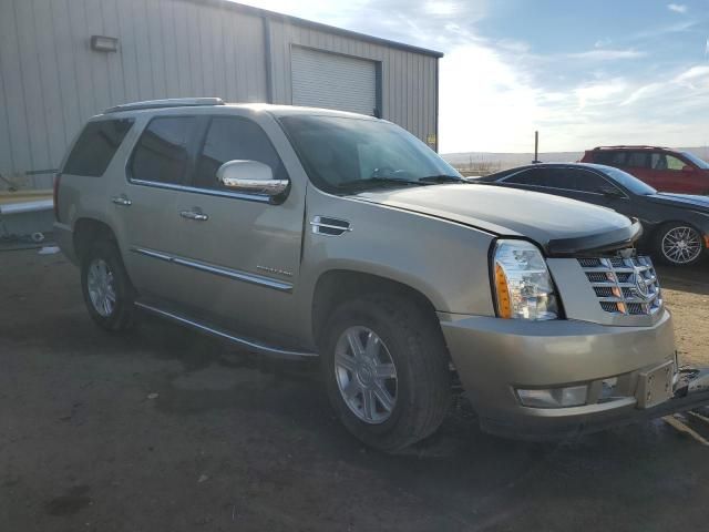 2013 Cadillac Escalade