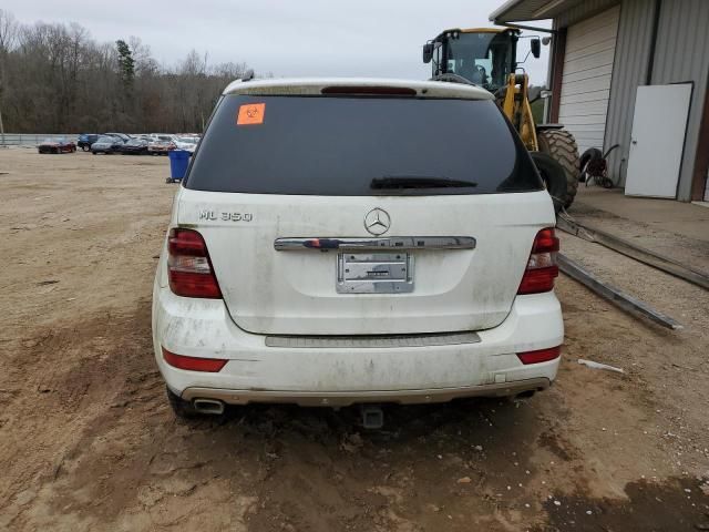 2010 Mercedes-Benz ML 350