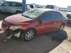 Toyota Corolla salvage cars for sale: 2009 Toyota Corolla Base