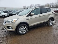 Ford Escape salvage cars for sale: 2018 Ford Escape SE