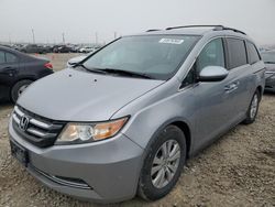 Honda Odyssey salvage cars for sale: 2016 Honda Odyssey SE