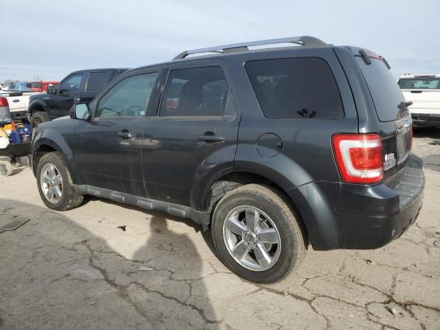 2009 Ford Escape Limited