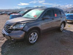 Honda salvage cars for sale: 2011 Honda CR-V EXL