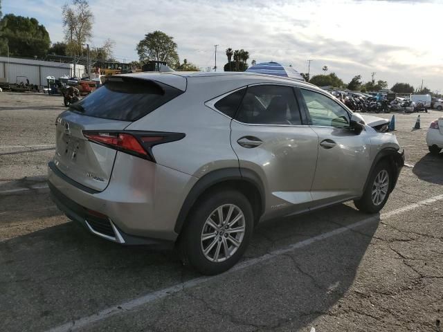 2019 Lexus NX 300H